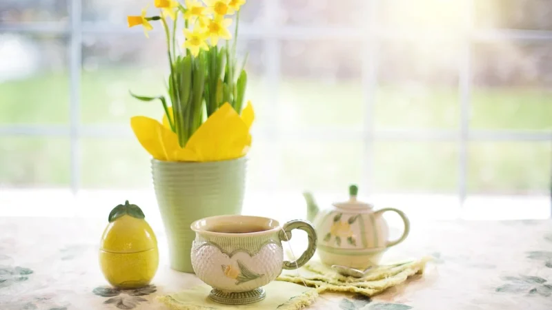 De voordelen van het drinken van groene thee voor de gezondheid