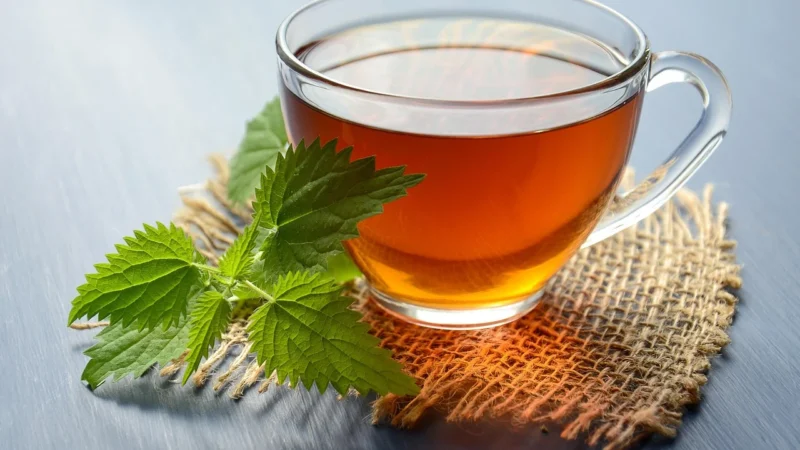 De voordelen van kruidenthee: een natuurlijke benadering van gezondheid